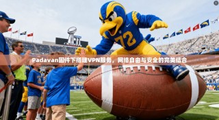 Padavan固件下搭建VPN服务，网络自由与安全的完美结合