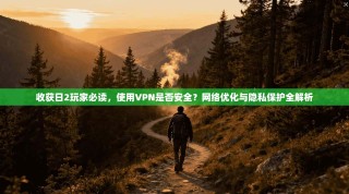 收获日2玩家必读，使用VPN是否安全？网络优化与隐私保护全解析