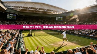 免费L2TP VPN，便利与风险并存的网络选择