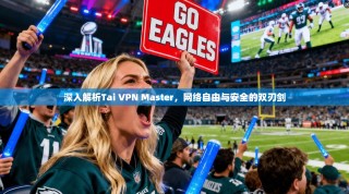 深入解析Tai VPN Master，网络自由与安全的双刃剑