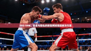 ZEO VPN，安全与隐私的新型网络隧道解决方案