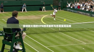 穿透防火墙的VPN技术解析与合规使用指南