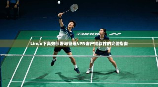 Linux下高效部署与管理VPN客户端软件的完整指南