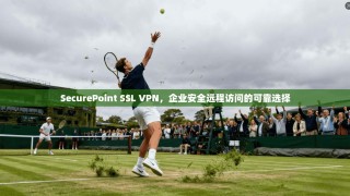 SecurePoint SSL VPN，企业安全远程访问的可靠选择