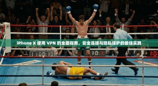 iPhone X 使用 VPN 的全面指南，安全连接与隐私保护的最佳实践