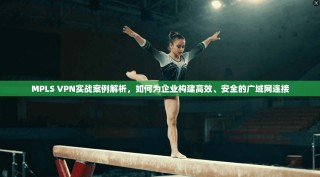 MPLS VPN实战案例解析，如何为企业构建高效、安全的广域网连接