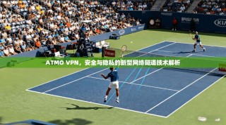 ATMO VPN，安全与隐私的新型网络隧道技术解析