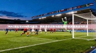 MAC地址与VPN技术融合，网络身份识别与隐私保护的双重挑战与机遇