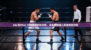 SSL与IPSec VPN技术对比分析，企业网络接入安全的双刃剑