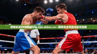 警惕非法VPN网站http.vpn.ahbvc.cn—网络安全风险与防范指南