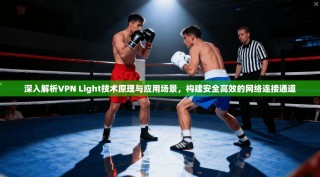 深入解析VPN Light技术原理与应用场景，构建安全高效的网络连接通道