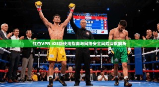 红杏VPN iOS版使用指南与网络安全风险深度解析