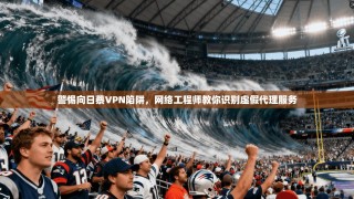 警惕向日蔡VPN陷阱，网络工程师教你识别虚假代理服务