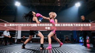 深入解析PPTP协议与VPN网卡的协同机制，网络工程师视角下的安全与效率平衡