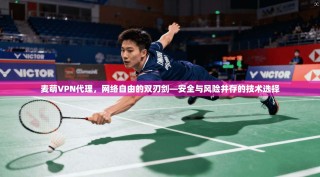 麦萌VPN代理，网络自由的双刃剑—安全与风险并存的技术选择