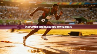 西风VPN使用指南与网络安全性深度解析