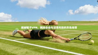 揭秘帽子VPN，网络自由与法律风险的灰色地带