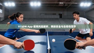 91VPN App 使用风险解析，网络安全与合规性警示