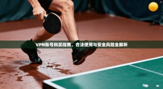 VPN账号购买指南，合法使用与安全风险全解析