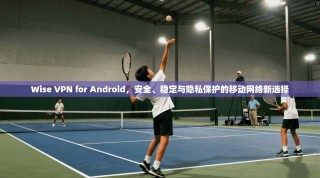 Wise VPN for Android，安全、稳定与隐私保护的移动网络新选择