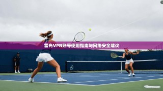 雷光VPN账号使用指南与网络安全建议