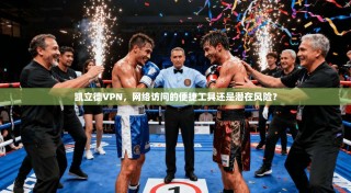 凯立德VPN，网络访问的便捷工具还是潜在风险？