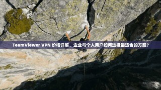 TeamViewer VPN 价格详解，企业与个人用户如何选择最适合的方案？