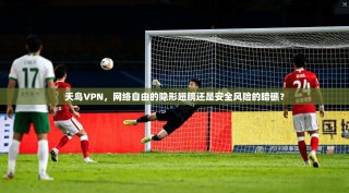 天鸟VPN，网络自由的隐形翅膀还是安全风险的暗礁？