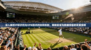 深入解析IP标识符与VPN技术的协同机制，网络安全与数据传输的双重保障