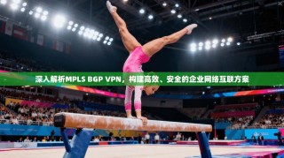 深入解析MPLS BGP VPN，构建高效、安全的企业网络互联方案