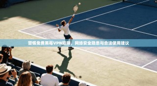 警惕免费黑莓VPN陷阱，网络安全隐患与合法使用建议