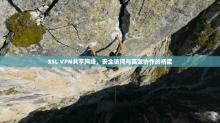 SSL VPN共享网络，安全访问与高效协作的桥梁