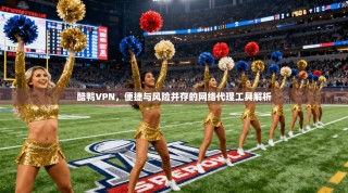 酷鸭VPN，便捷与风险并存的网络代理工具解析