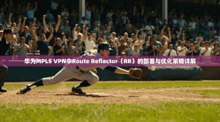 华为MPLS VPN中Route Reflector（RR）的部署与优化策略详解