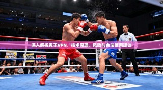 深入解析寅子VPN，技术原理、风险与合法使用建议