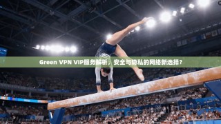 Green VPN VIP服务解析，安全与隐私的网络新选择？