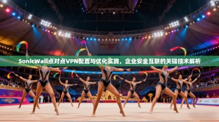 SonicWall点对点VPN配置与优化实践，企业安全互联的关键技术解析