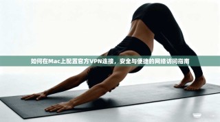 如何在Mac上配置官方VPN连接，安全与便捷的网络访问指南