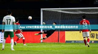 App VPN付费服务的利与弊，网络自由背后的代价