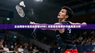 企业网络中是否应部署VPN？从安全与效率的平衡角度分析