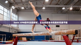 Sonic VPN软件深度解析，企业级安全与性能的完美平衡