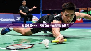 动漫花园VPN，网络自由与合规风险的博弈