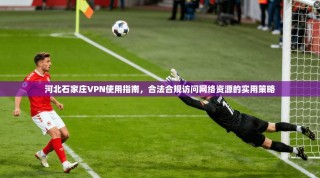 河北石家庄VPN使用指南，合法合规访问网络资源的实用策略