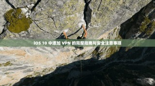 iOS 10 中添加 VPN 的完整指南与安全注意事项