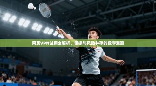 网页VPN试用全解析，便捷与风险并存的数字通道