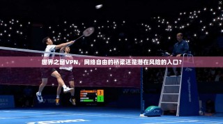 世界之窗VPN，网络自由的桥梁还是潜在风险的入口？