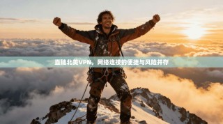 直链北美VPN，网络连接的便捷与风险并存