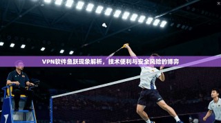 VPN软件鱼跃现象解析，技术便利与安全风险的博弈