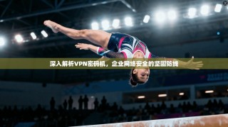 深入解析VPN密码机，企业网络安全的坚固防线