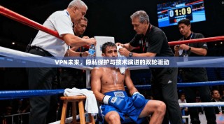 VPN未来，隐私保护与技术演进的双轮驱动